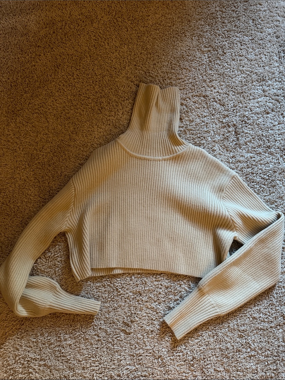 Fashion Nova turtleneck sweater